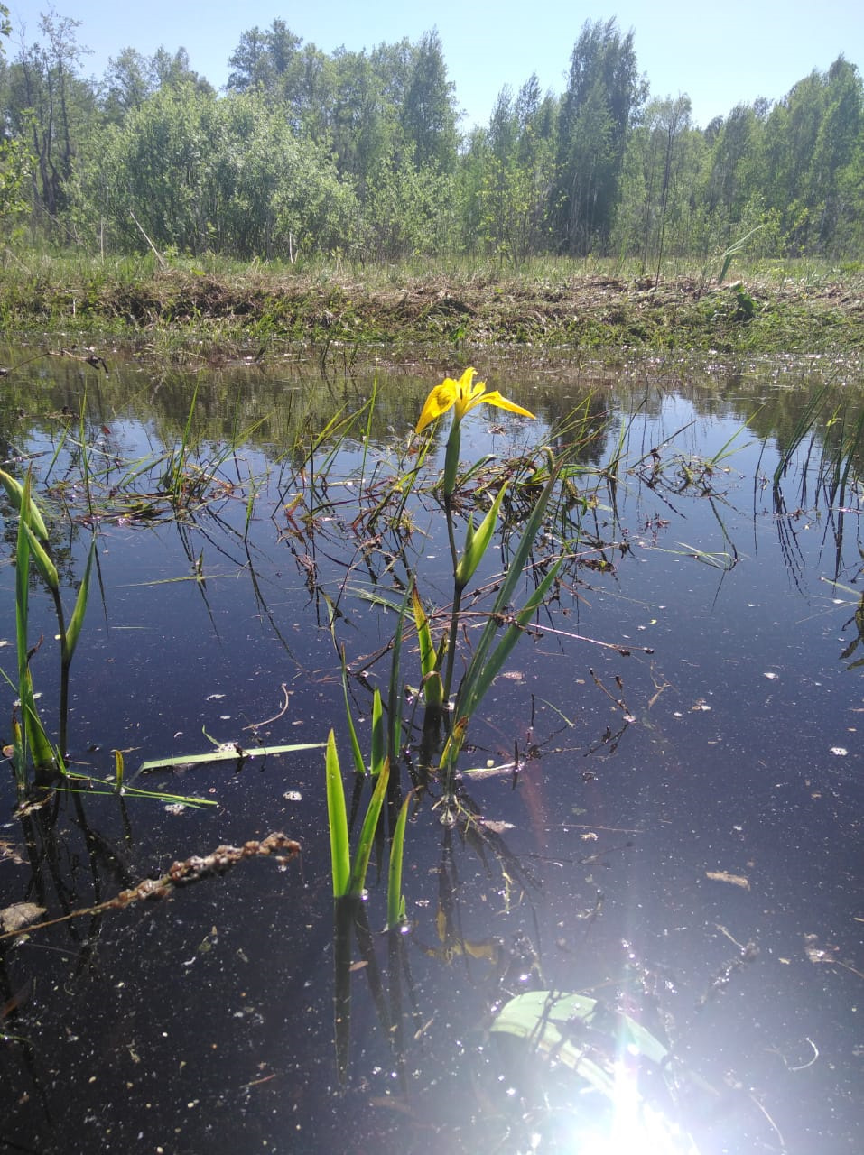 Прорвалися на незаїзний берег Дніпра :). 3
