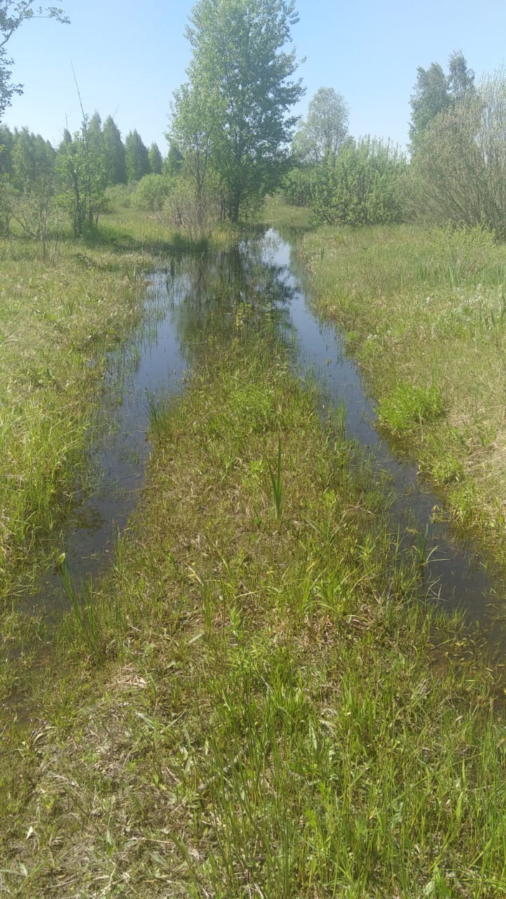 Прорвалися на незаїзний берег Дніпра :). 2