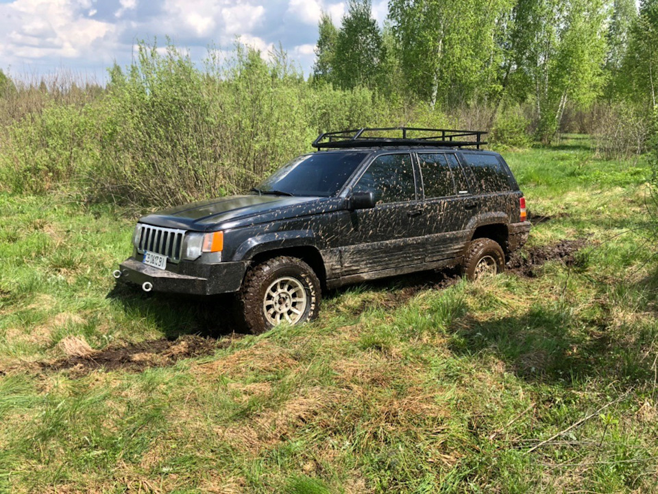 Виїзд у болота на Дніпрі, Ріпкинський р-н, Чернігівська обл, смт. Радуль 5