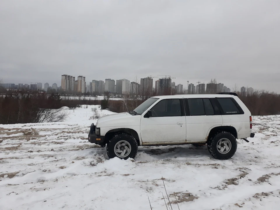Новорічний виїзд поросяти)