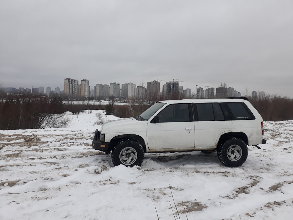 Новорічний виїзд поросяти) 1
