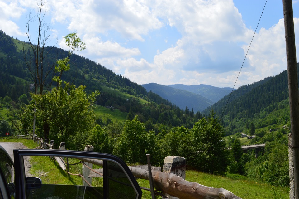 Карпати 8.06.2014 4