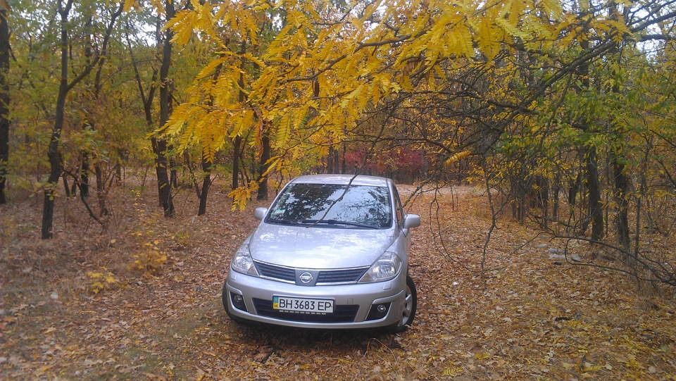 ФОТОСЕСІЯ ЗА МІСТОМ У ЛІСКУ! 3