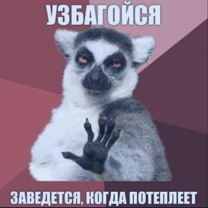 Перші холоди 1