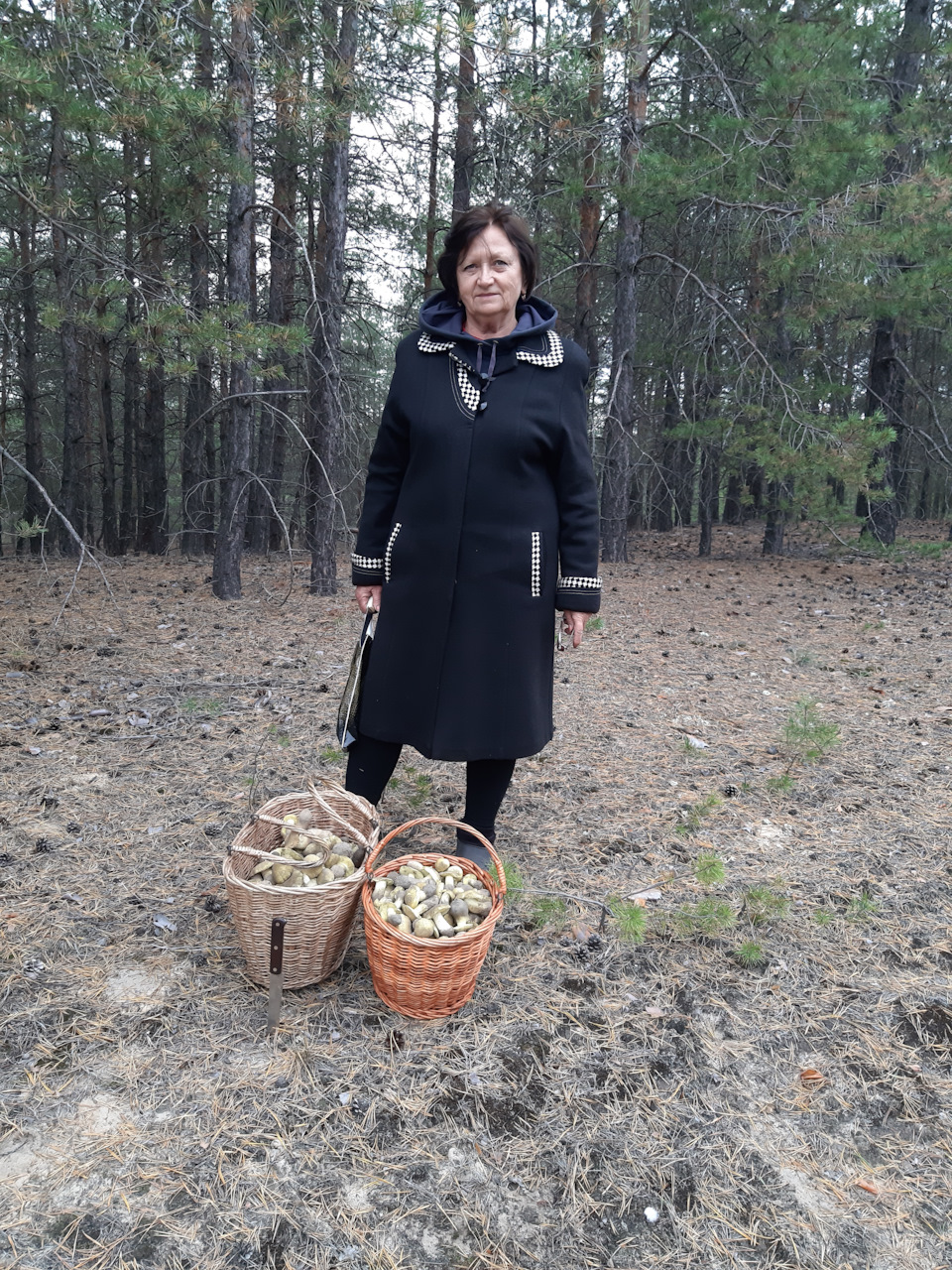 Покотушки на тихе полювання 1
