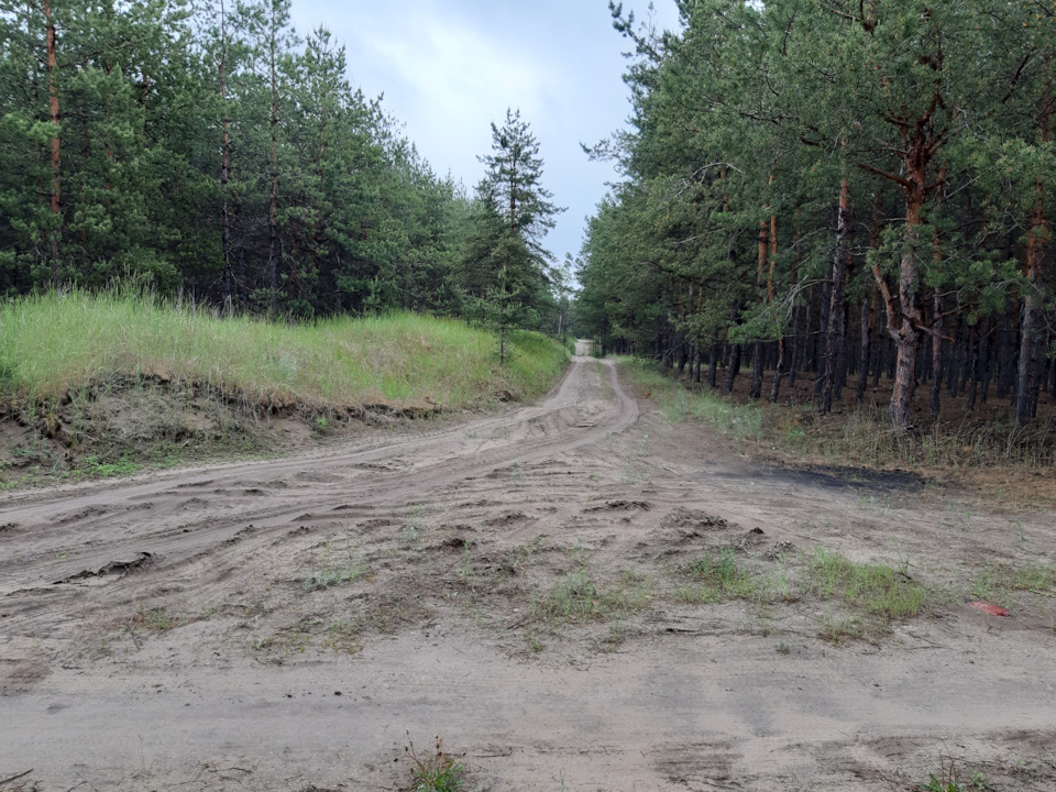 Покотушки в ліс 5
