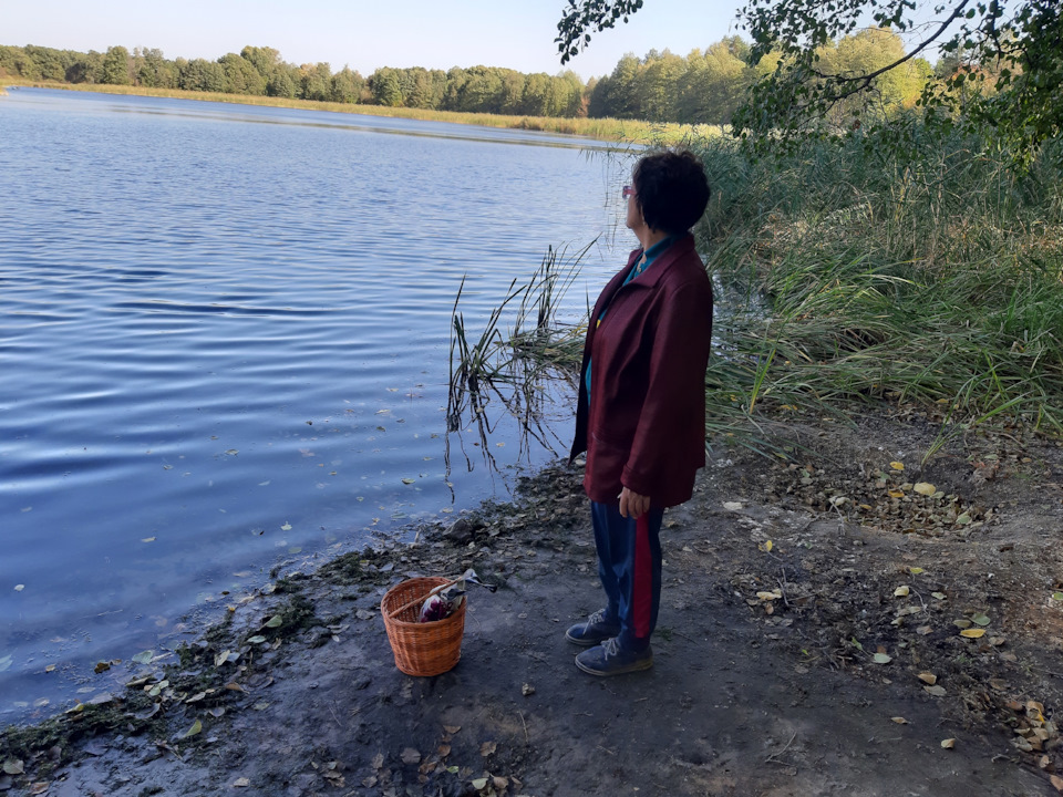 Вилазка до лісу 2