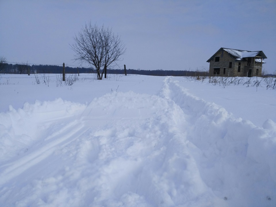 Зима 2016 1