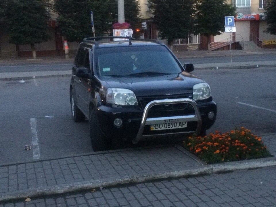 Кенгурятник, зняти? чи залишити? 2