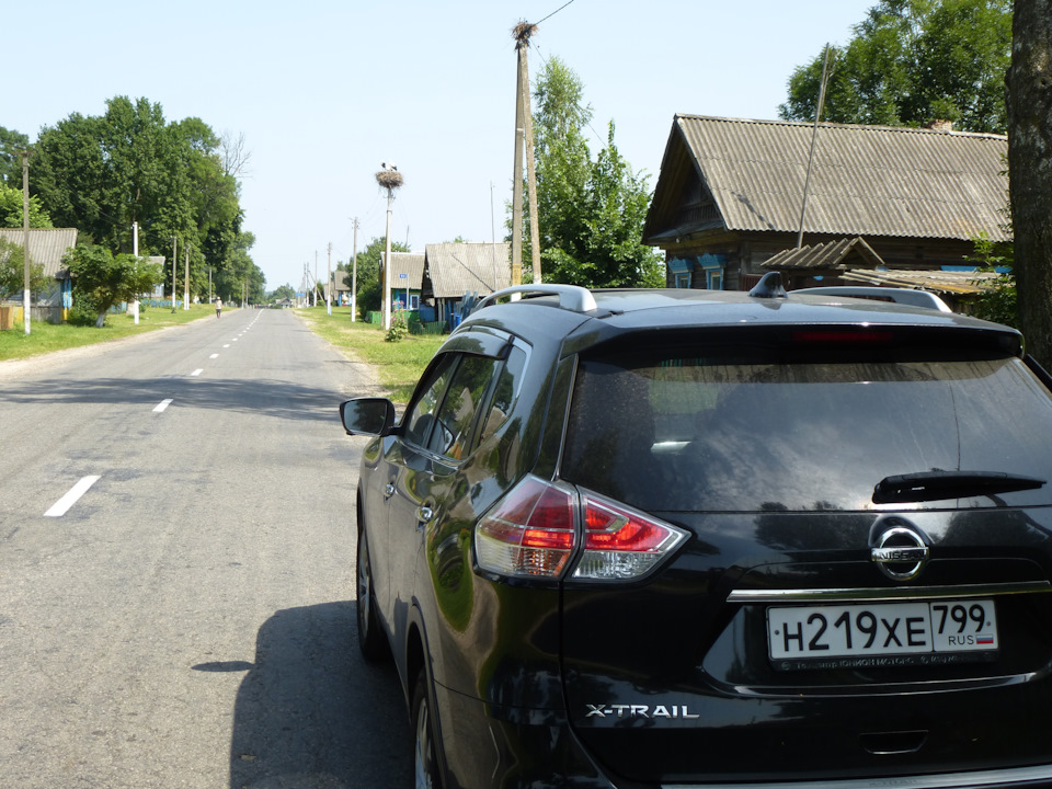Лелеки (Київ-Гомель-Москва, 17.07.2021) 2