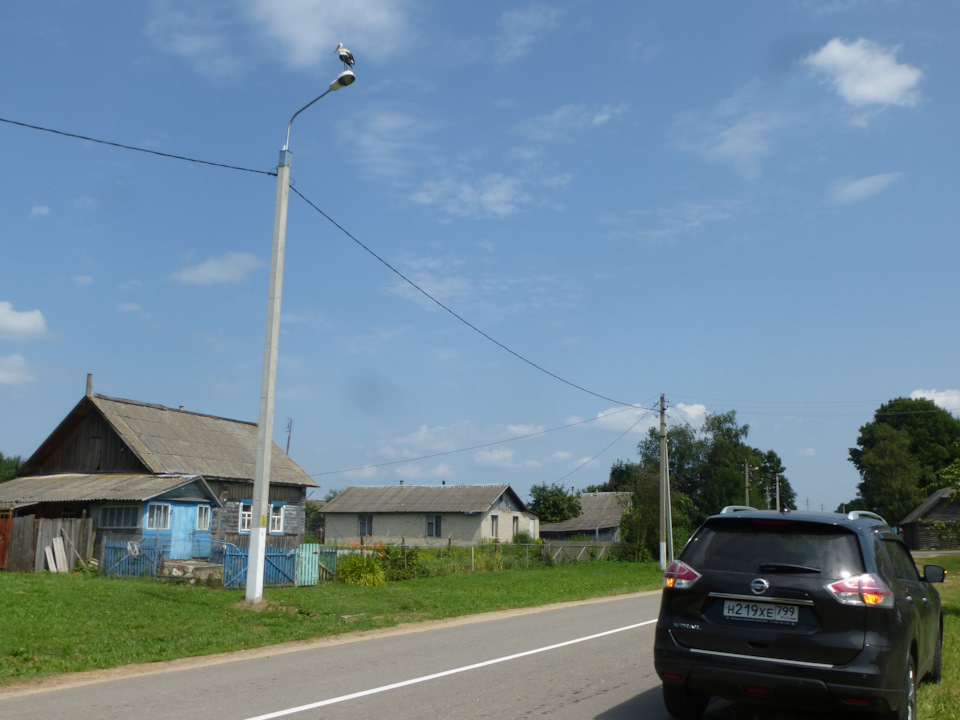 Лелеки (Київ-Гомель-Москва, 17.07.2021) 4