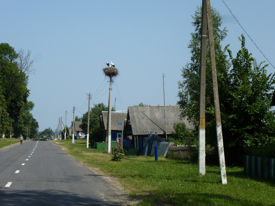 Лелеки (Київ-Гомель-Москва, 17.07.2021) 1