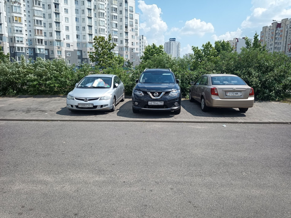 Котик (Москва-Мінськ, 11.07.2021) 2
