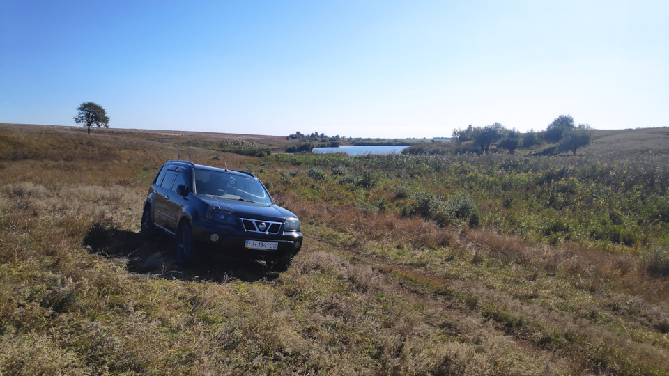 Рухомість у нерухомість 1