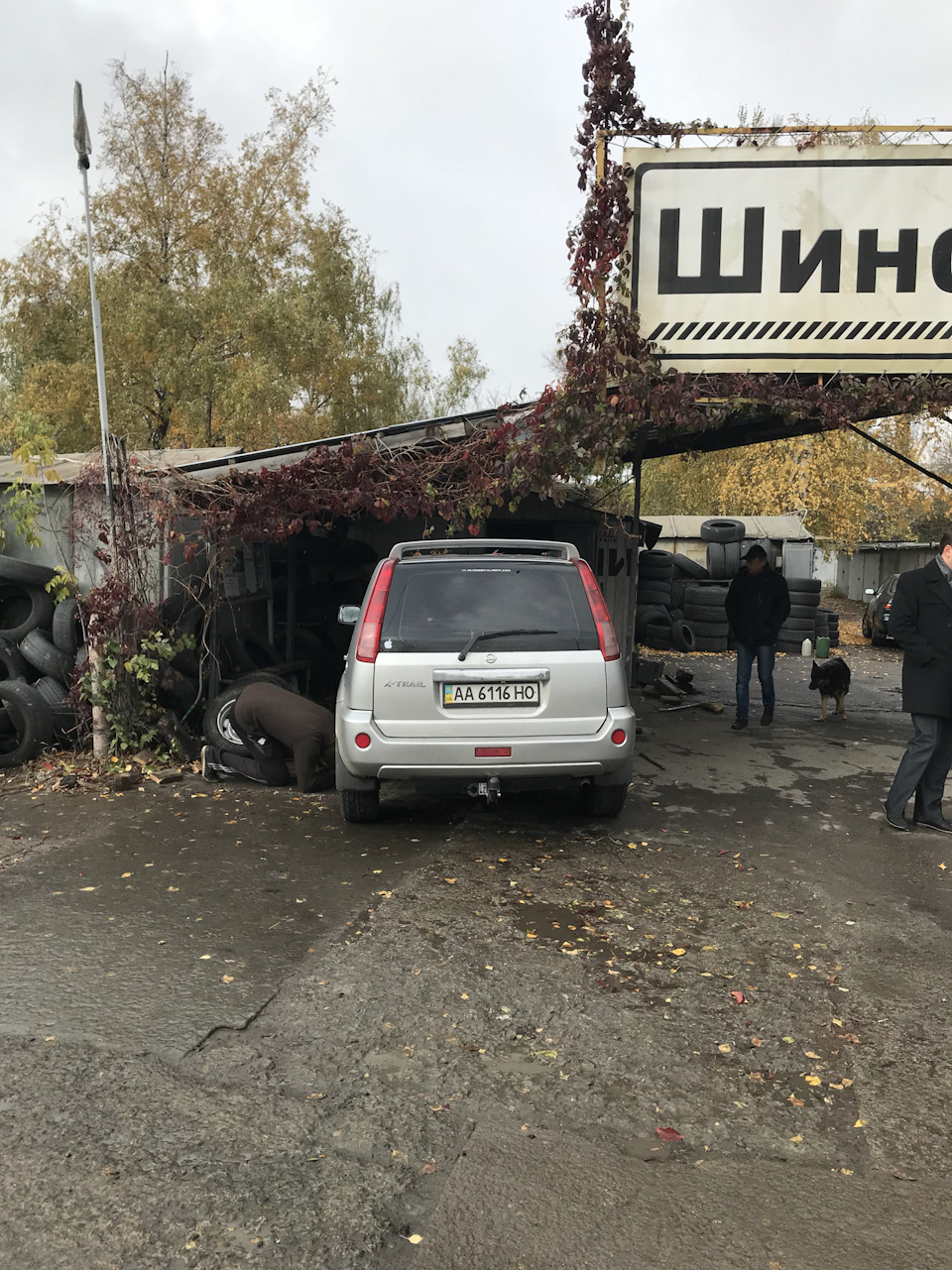 Як усі. Зима 1