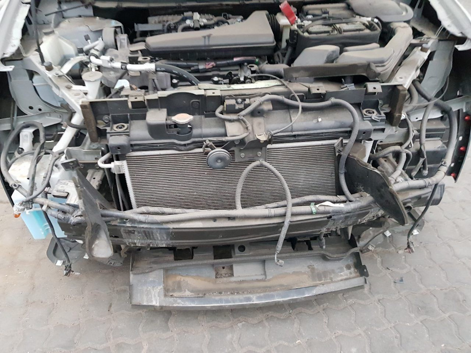 Припливли 5