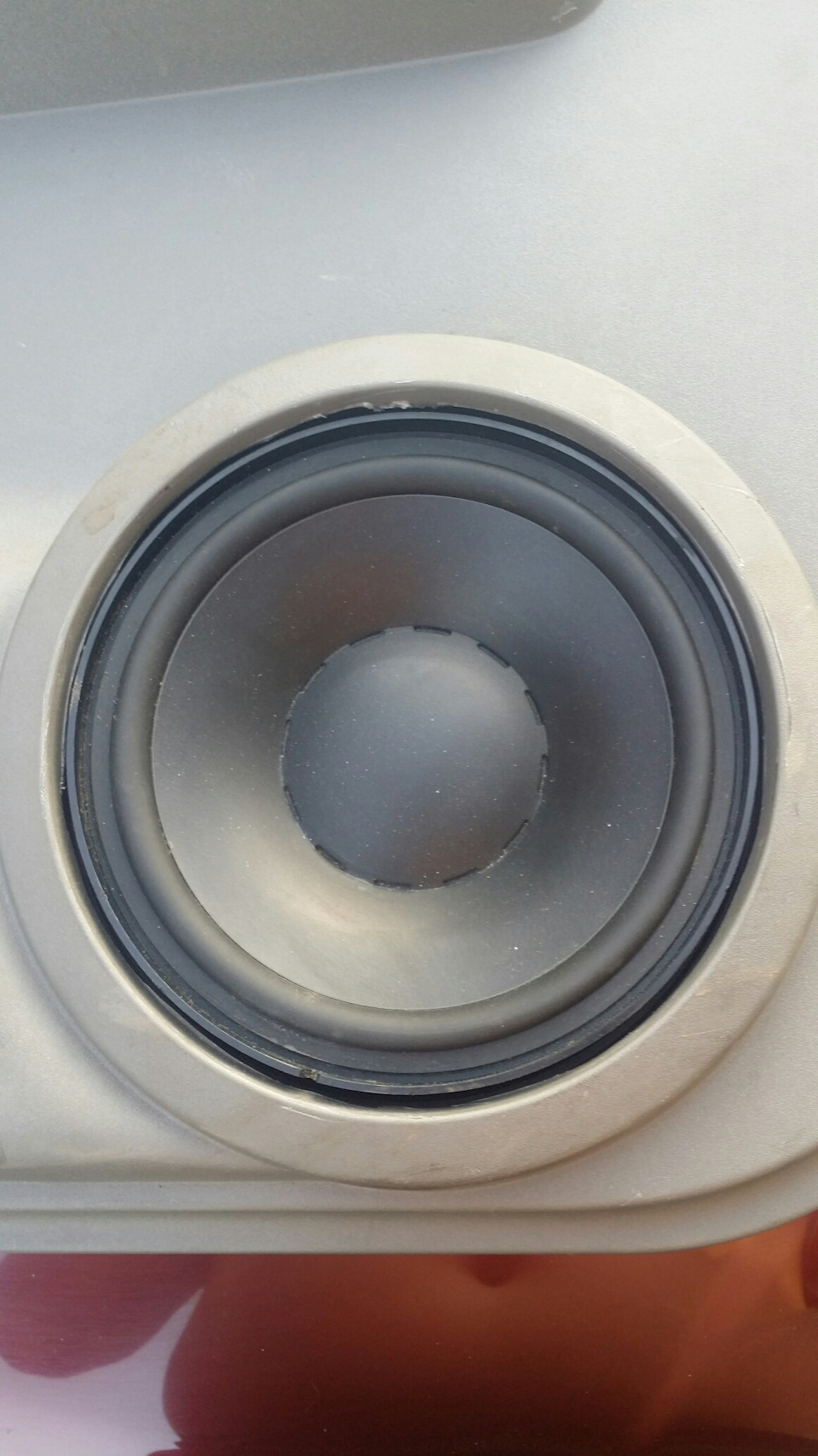 Dynaudio в бегемотиці, початок ... 1