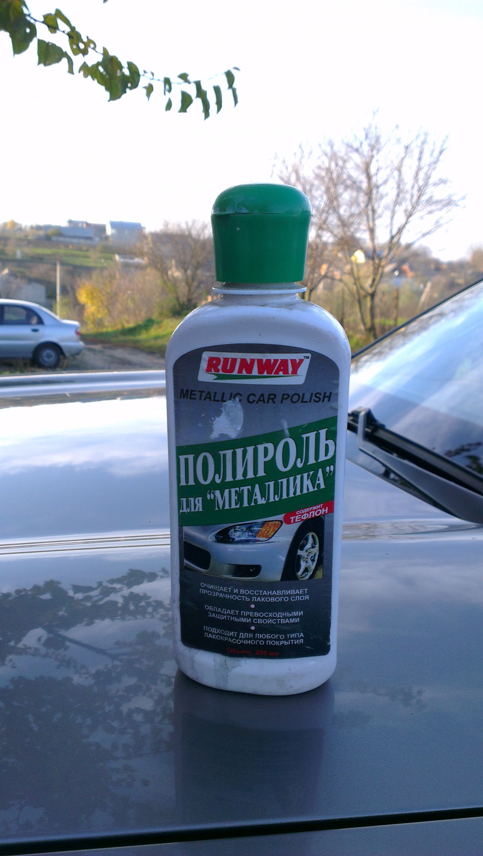 Запис № 6 Поірнув 2