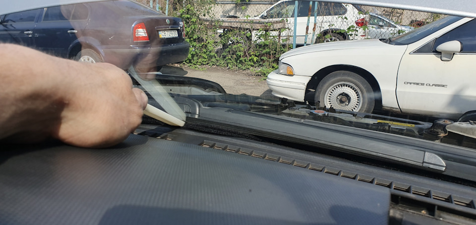 Задавити цвіркун part_1 2