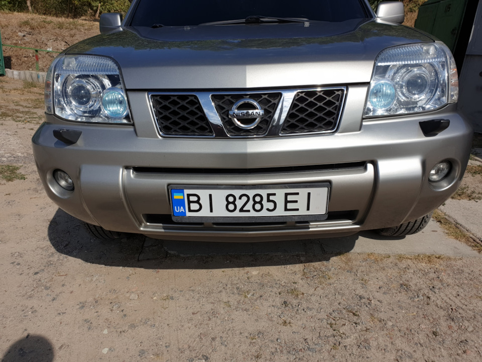 Сітка в бампер і грати 5