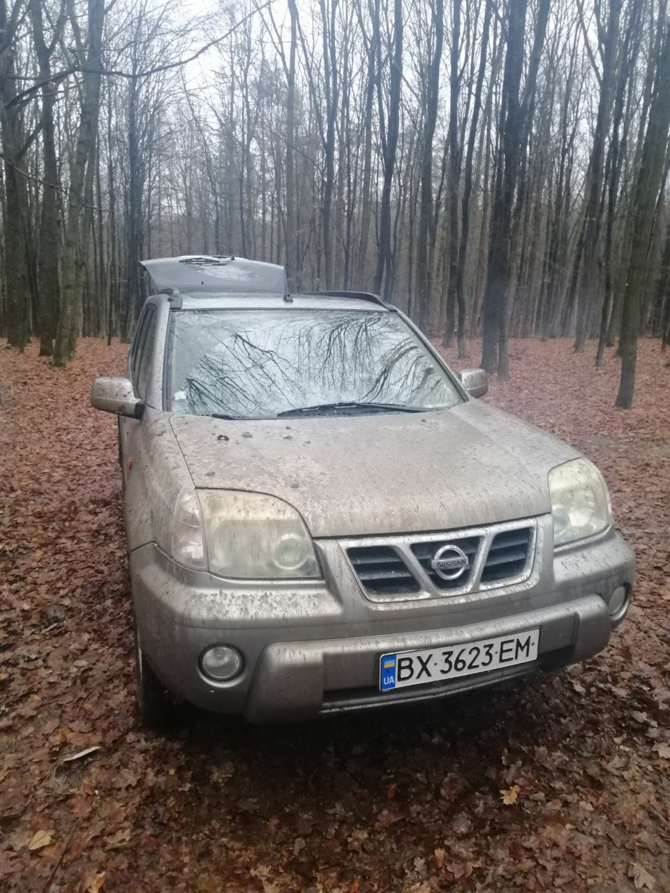 Покотушки 3