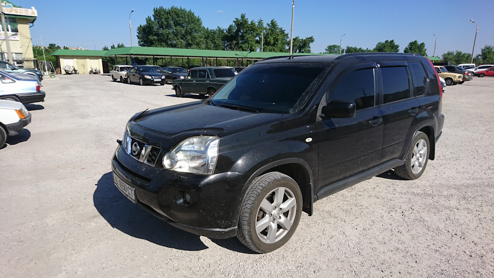 Мухобійка та вітровики 3