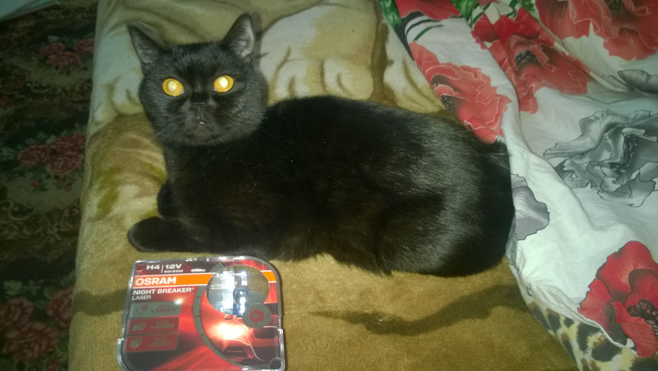Мурка схвалює!))) H4 55/60W OSRAM Night Breaker Laser (+130) 1