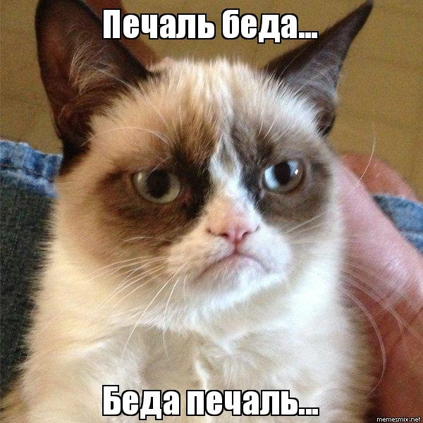 Допоможіть будь ласка, по ходу штатна сигналка приїхала... 1