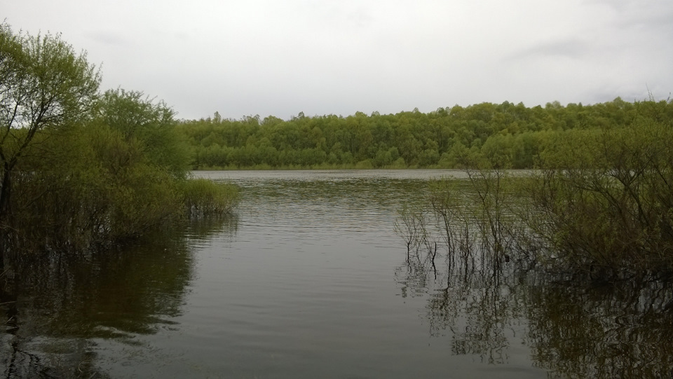 Всіх зі святом!) Виїхали на природу))) 3