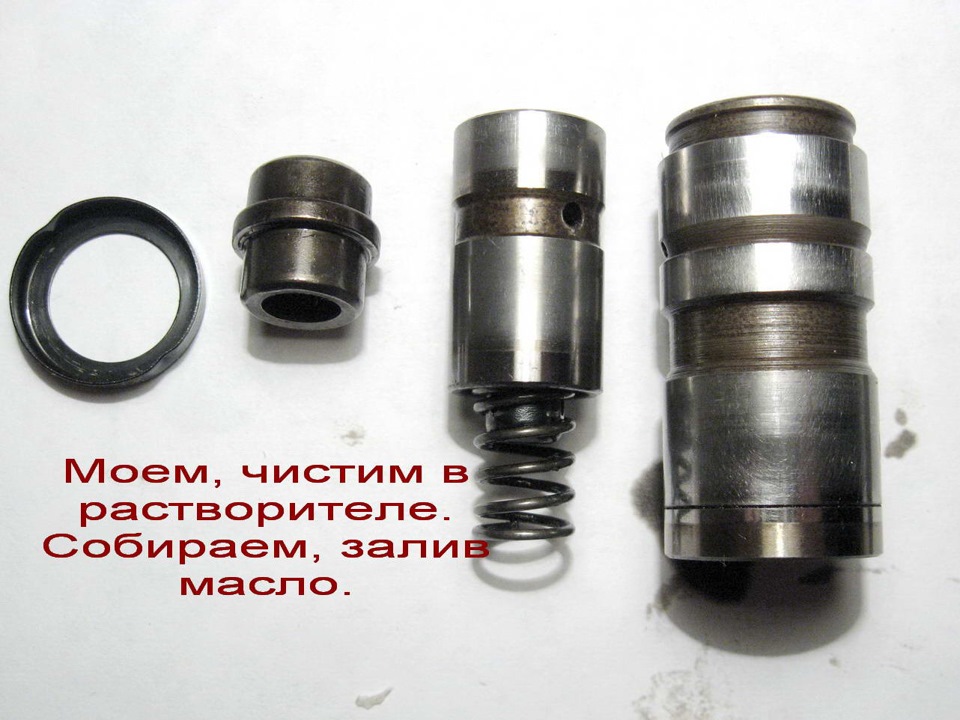 Гідрики 5