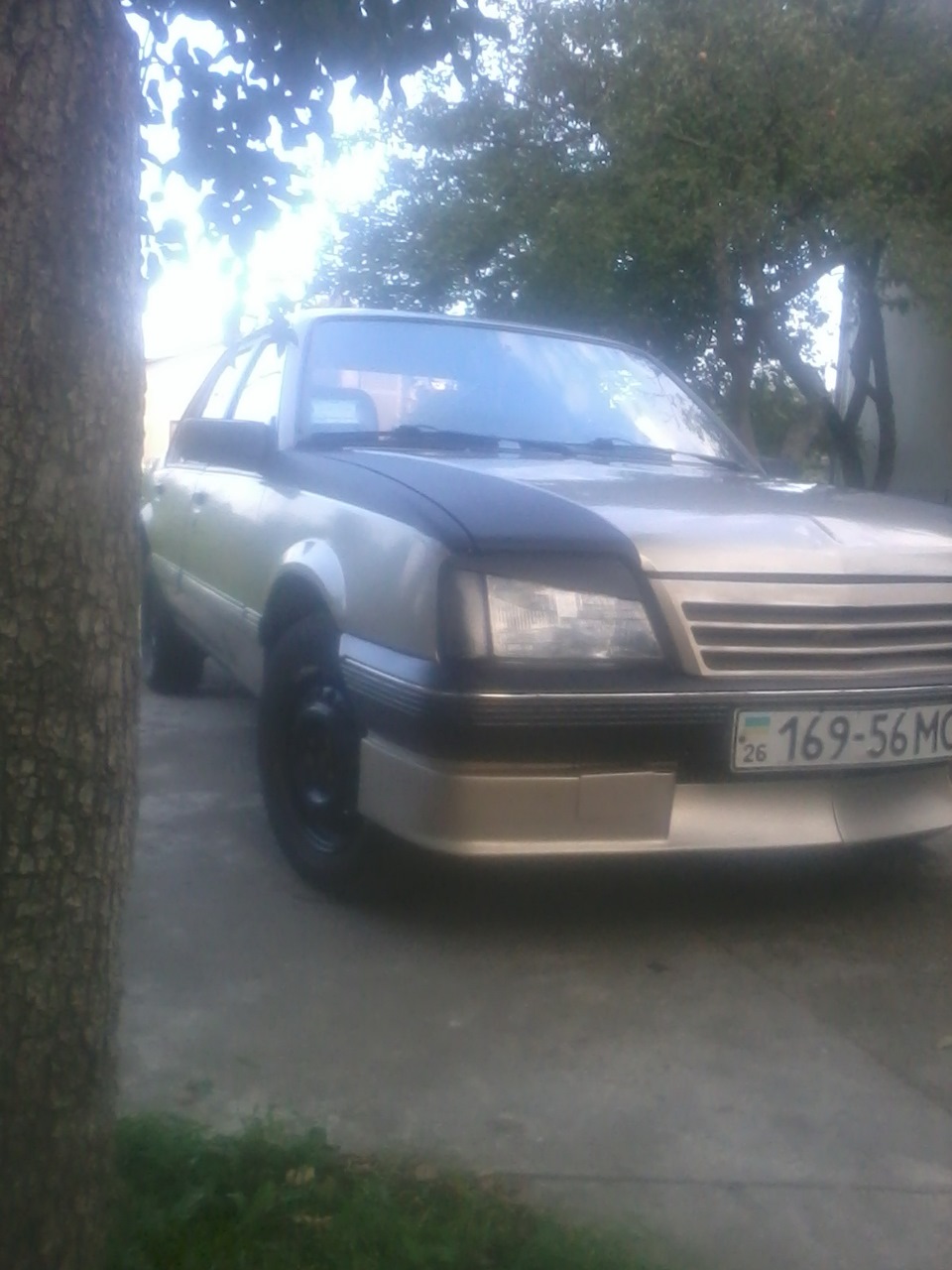 Карбон 2