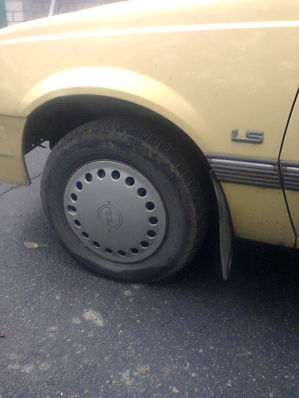 Куплю оригінальний ковпак на Opel r13 1