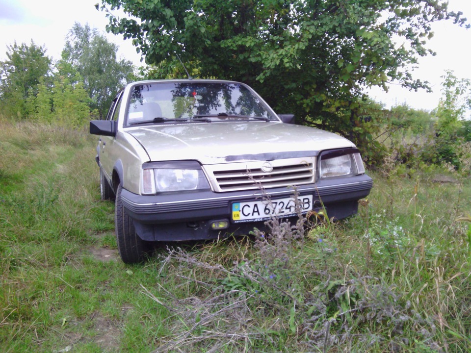 Нові фотки 1