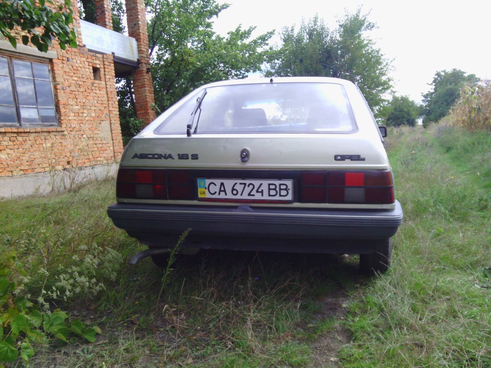 Нові фотки 3