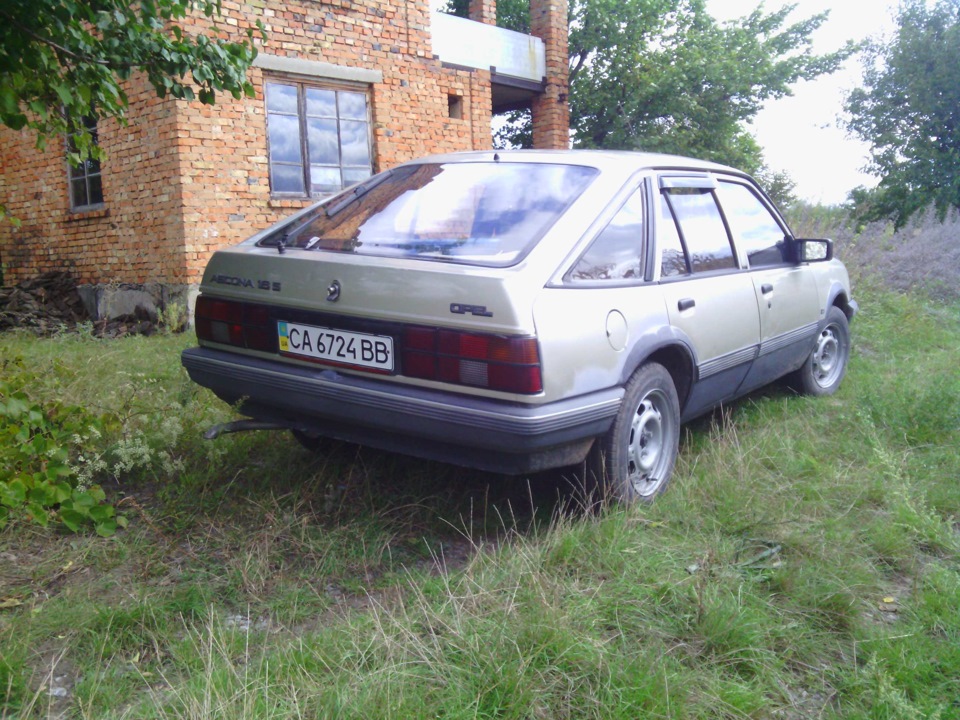 Нові фотки 5