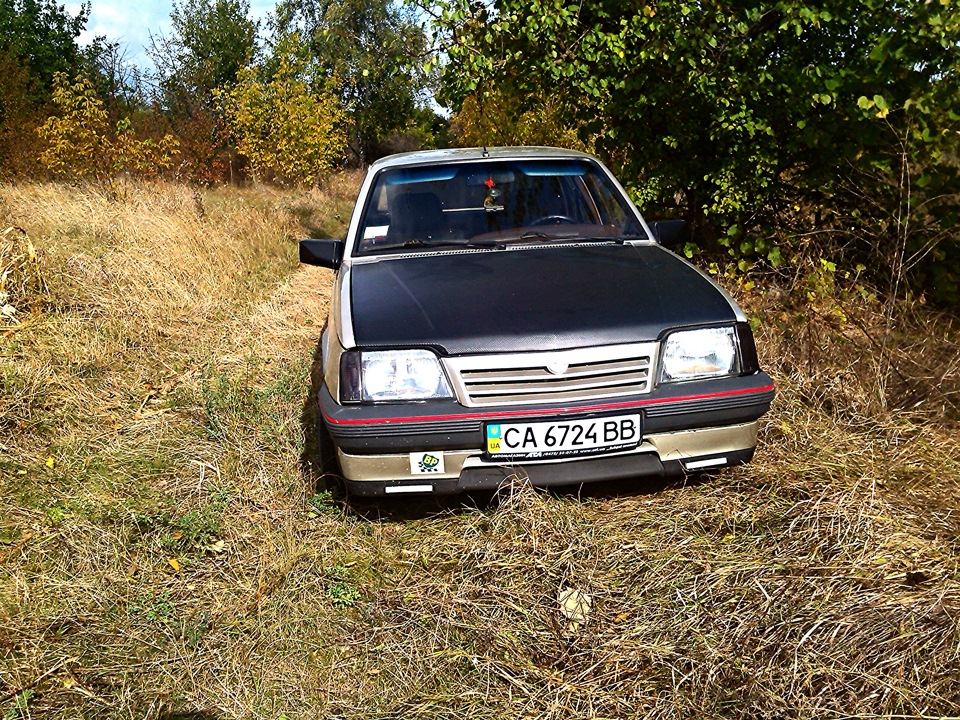Поїздка на дачу (нові фото) 4