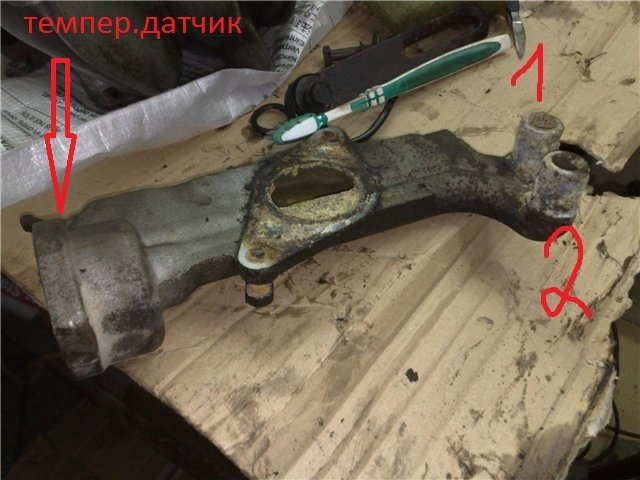 Прошу допомоги в індефікації. 1