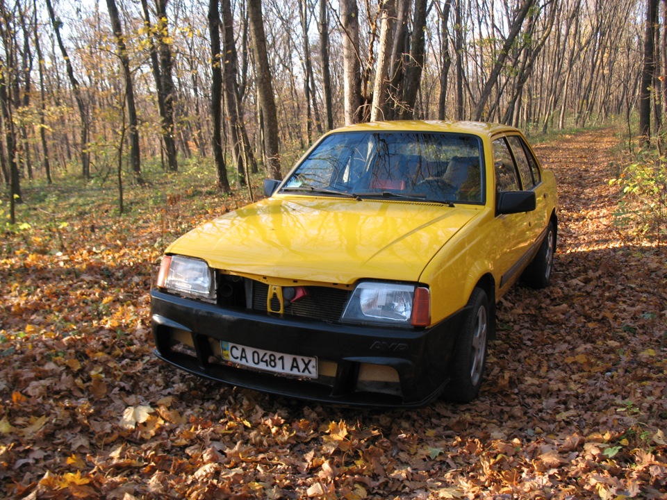 їздили з дружиною до лісу 2