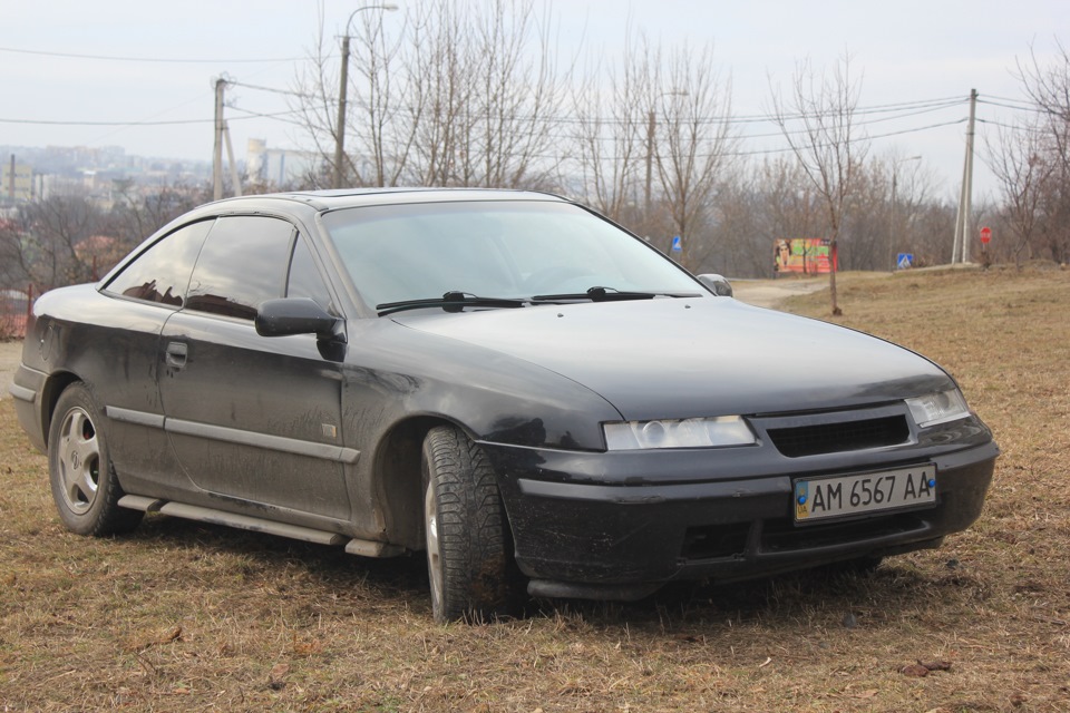 Фотографії донора 5