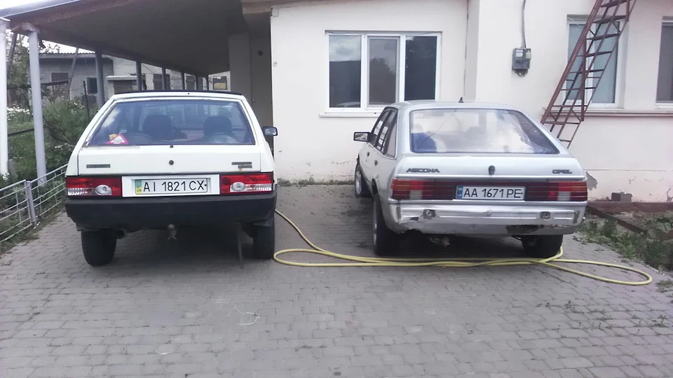 Знову жива