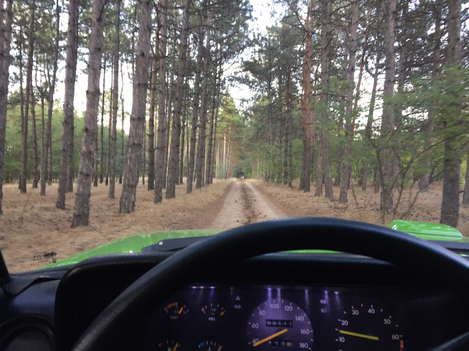 Покатушки по лісу☀️ 🌳 🤗 1