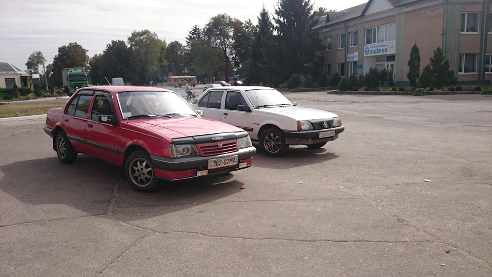 Забарвлення тапочок) 2