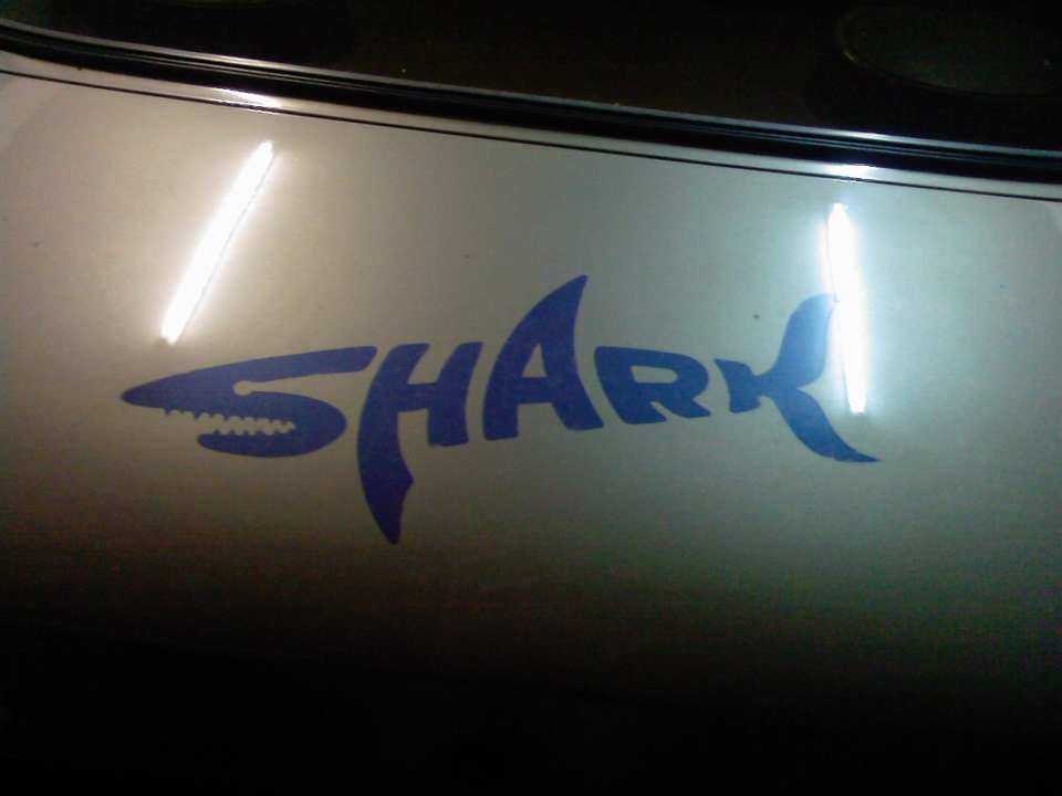 SHARK 2