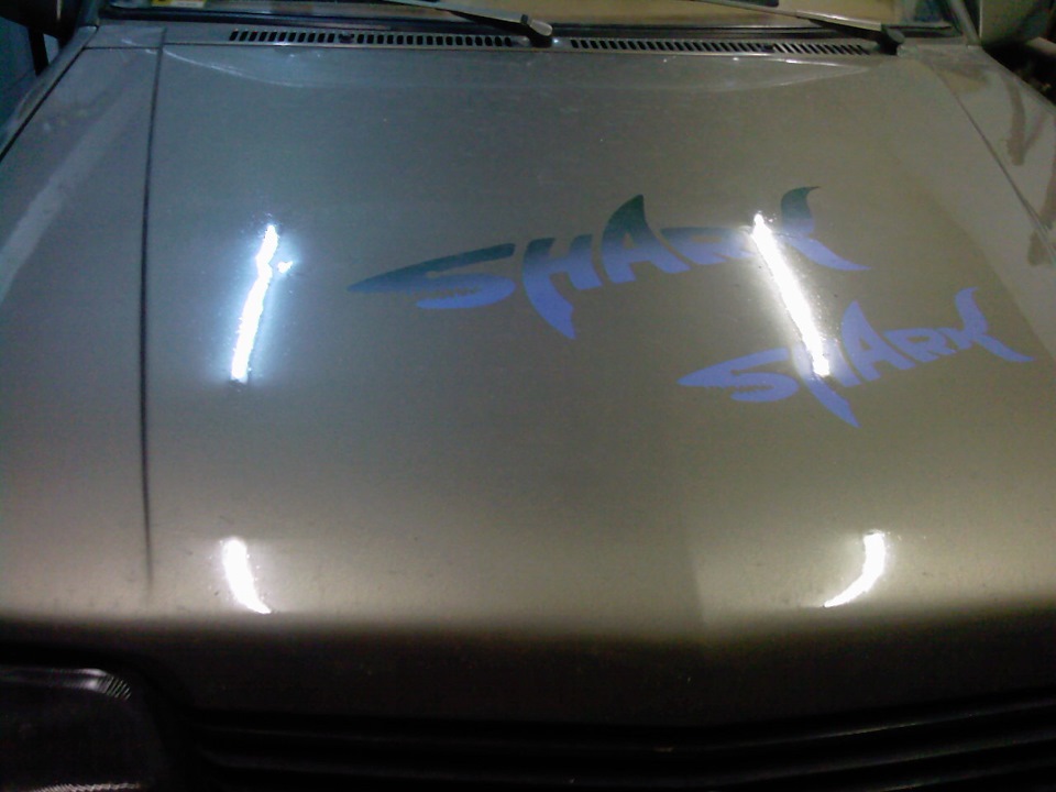SHARK 1