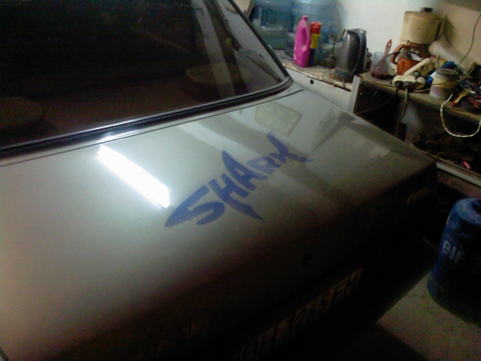 SHARK 3