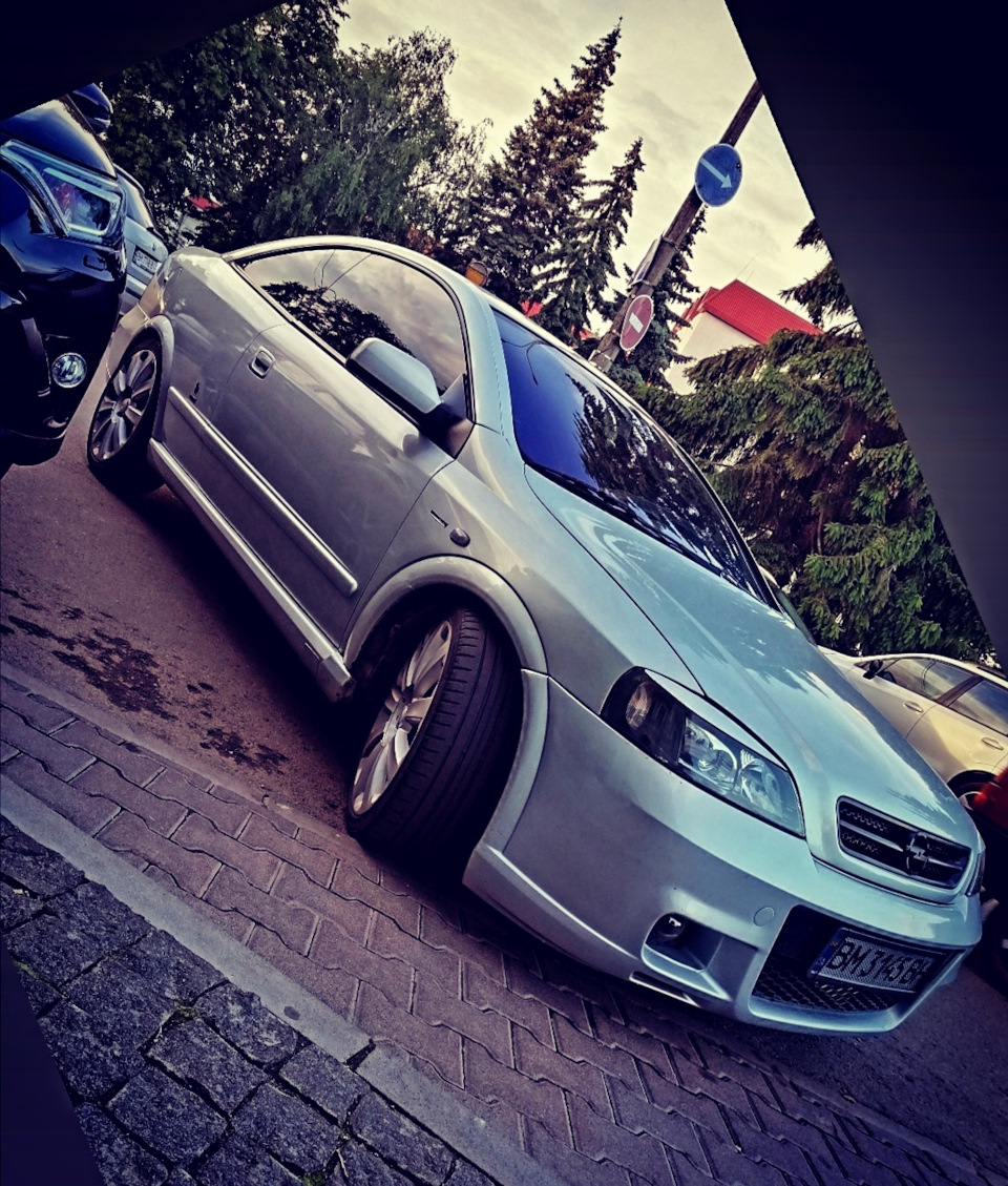 Літо і Берту в стрічку 😜😉 1