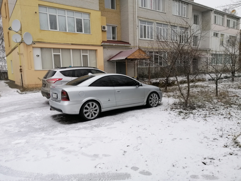 Нові фото Берти 😊 2
