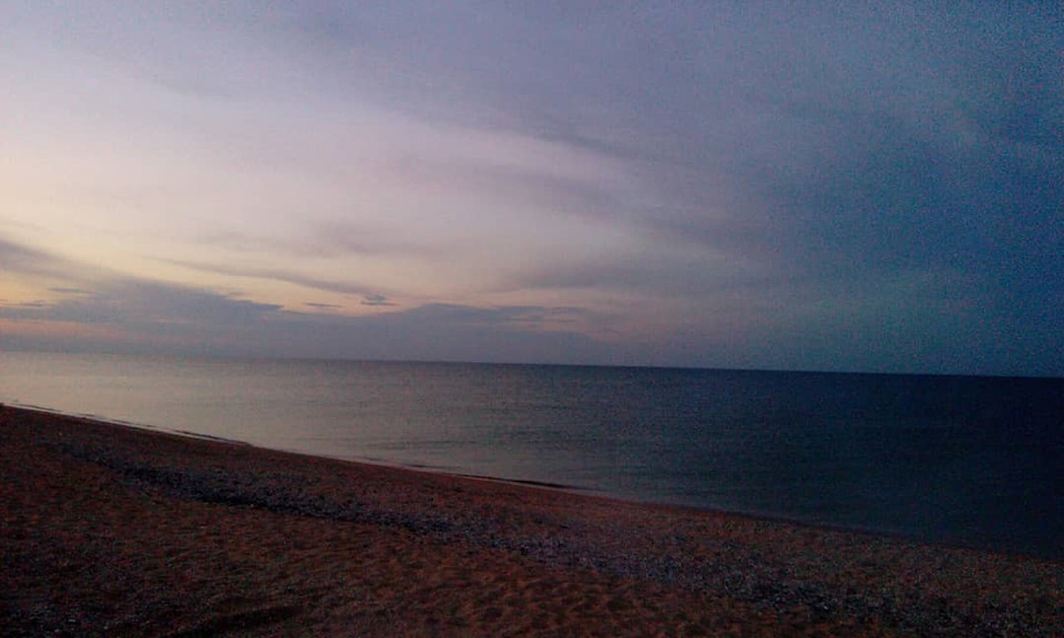 Відпочинок на морі, зняв ластівку після приїзду на відпочинок 4