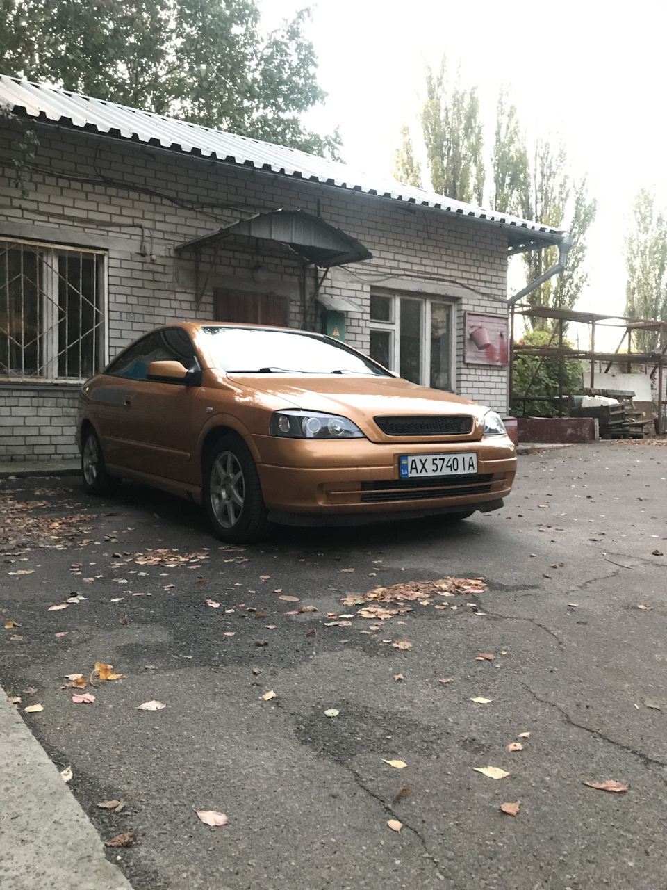 Знайомство з Бертою) 3