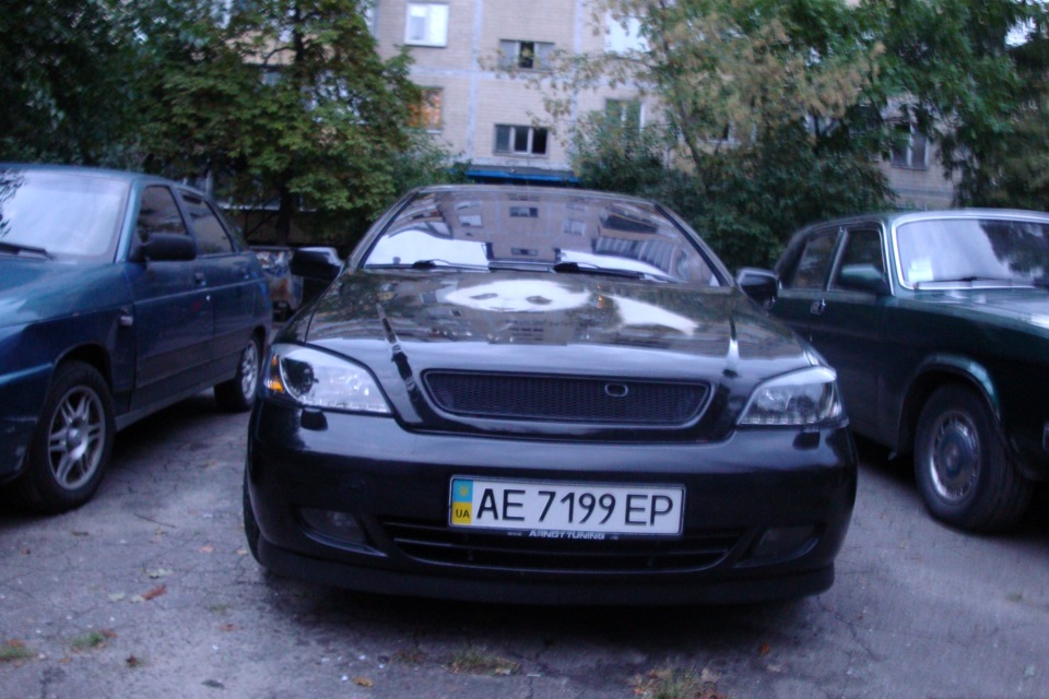 Панда 5
